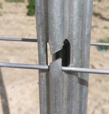 pl17907354-hot_galvanized_surface_steel_vineyard_posts_rust_resistant_and_waterproof